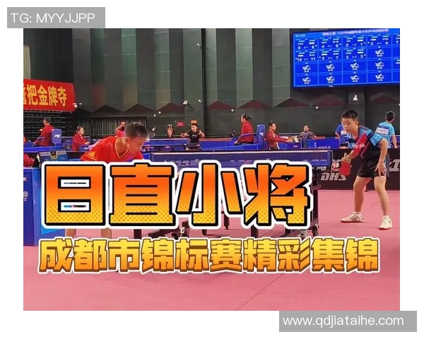 成都乒乓球队状态分析与未来展望聚焦乒乓球发展新机遇