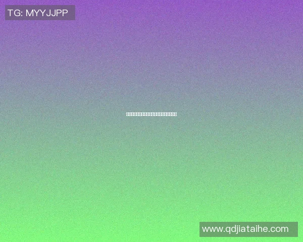 沈阳网红足球明星崛起背后的故事与荣耀之路